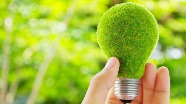 Green Economy