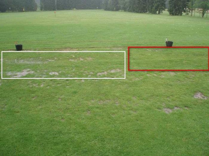 Tee Test in Essen