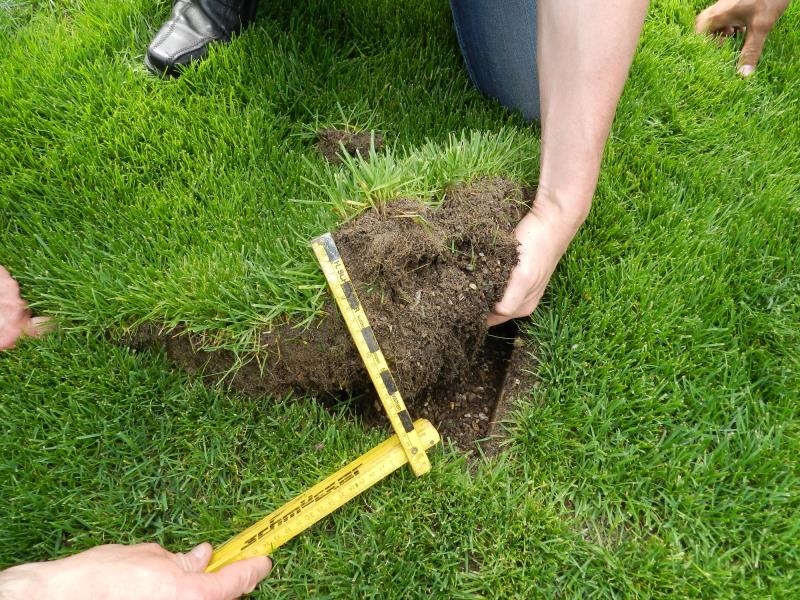 Radici PowerGrass