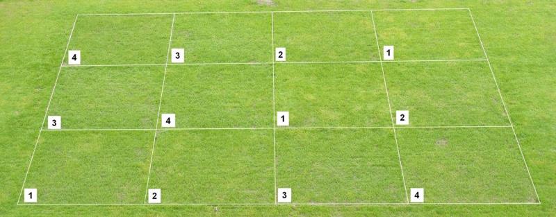 Testing PowerGrass in Betzdorf - D