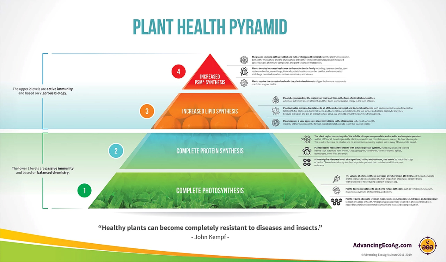 La pirámide para la salud de las plantas